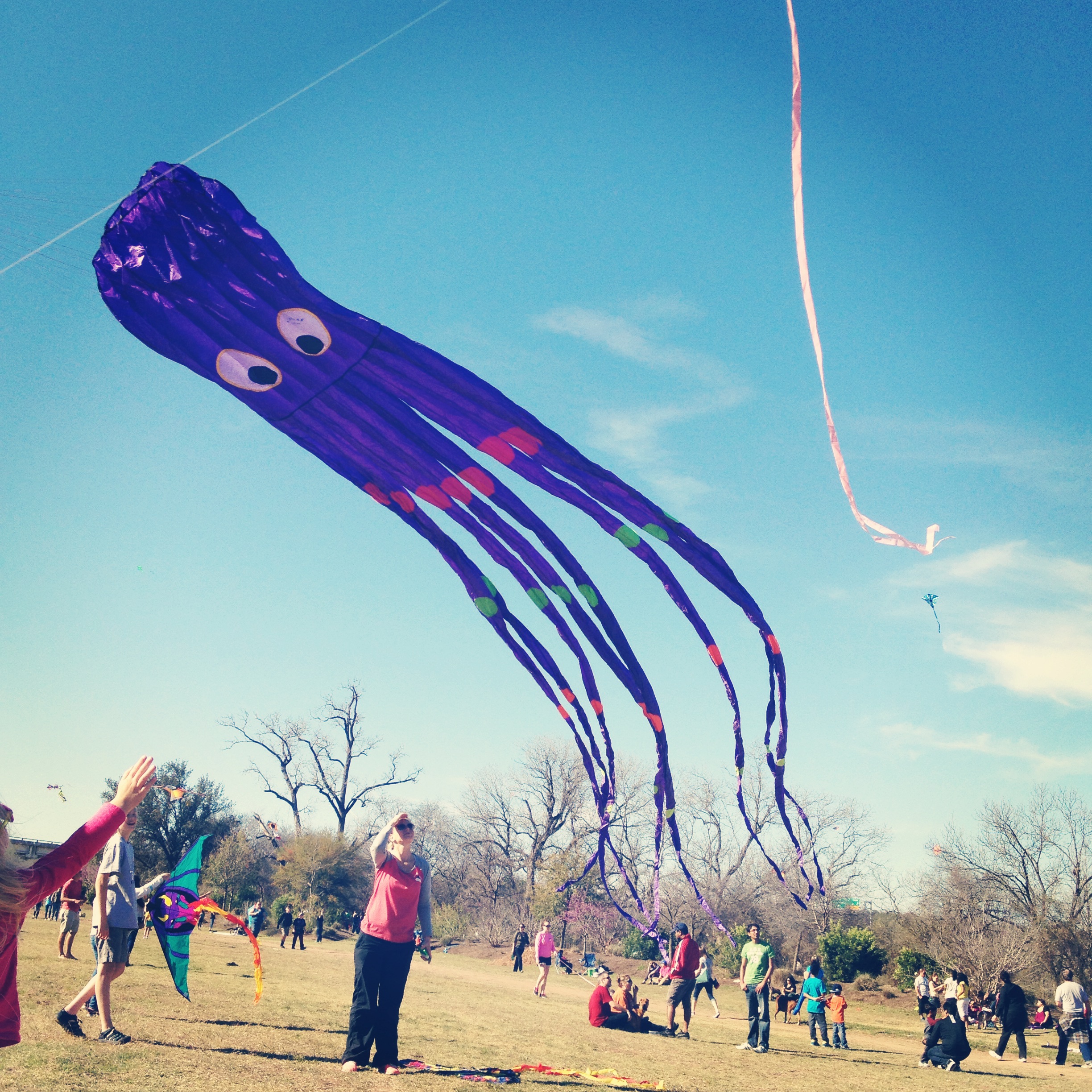 zilker kite festival Kristen McAshan