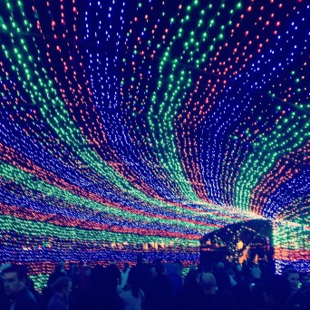 trail of lights